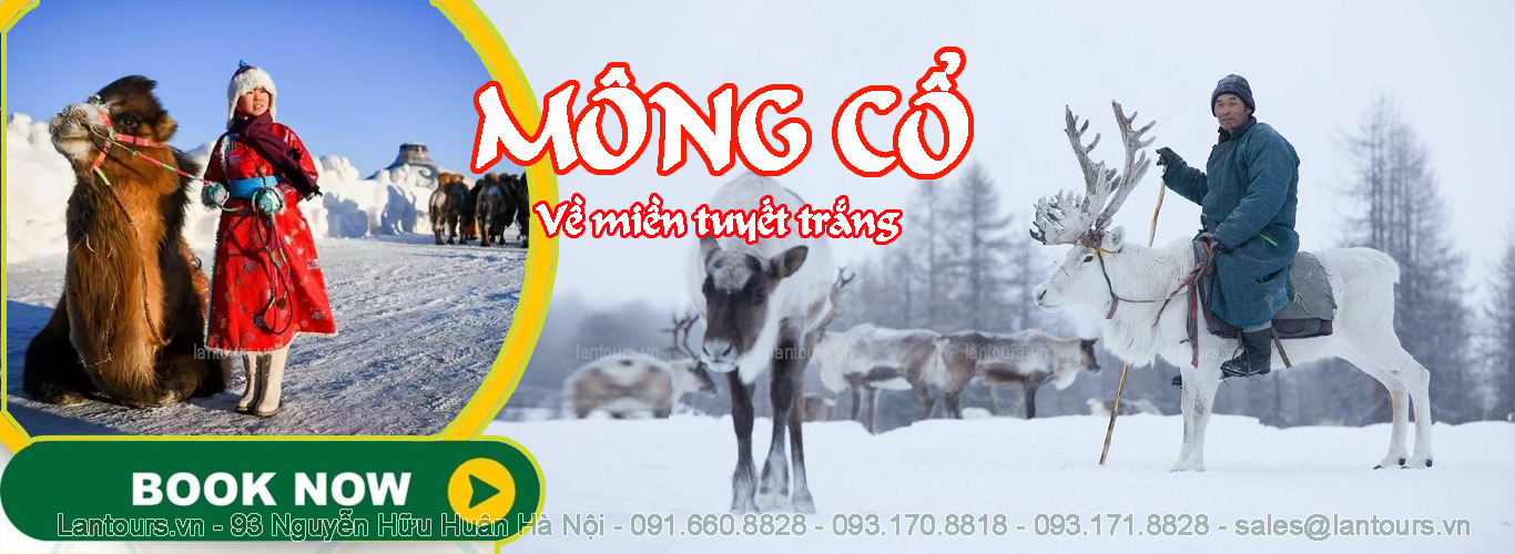 Mong co ve mien tuyet trang